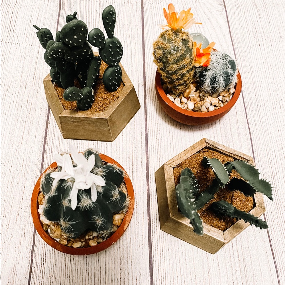Mini Cactus Decor